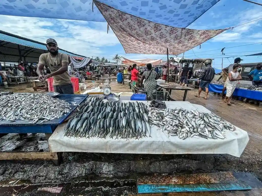 Lellama Fish Market