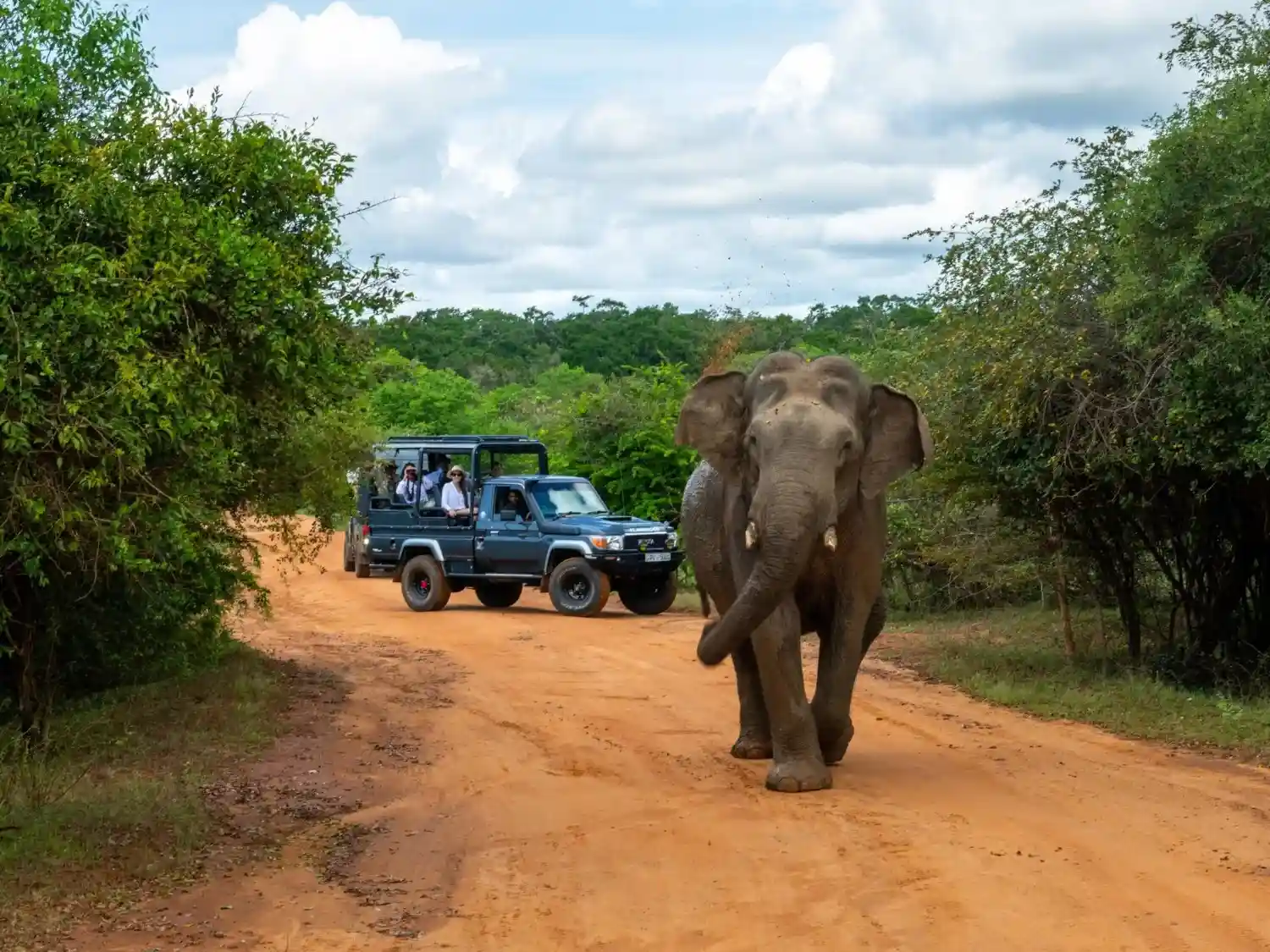 Yala National Park