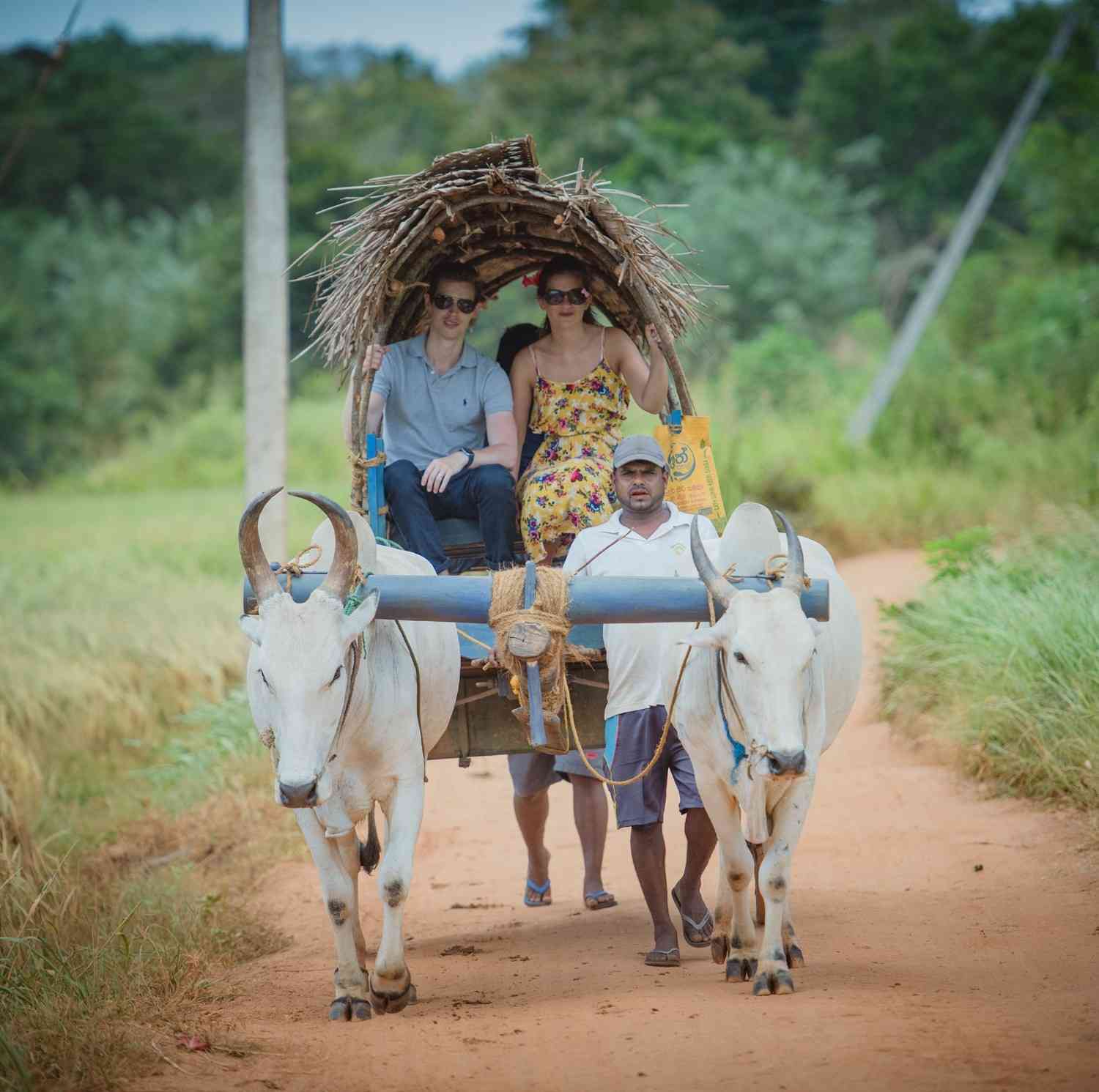 Habarana Village Tour